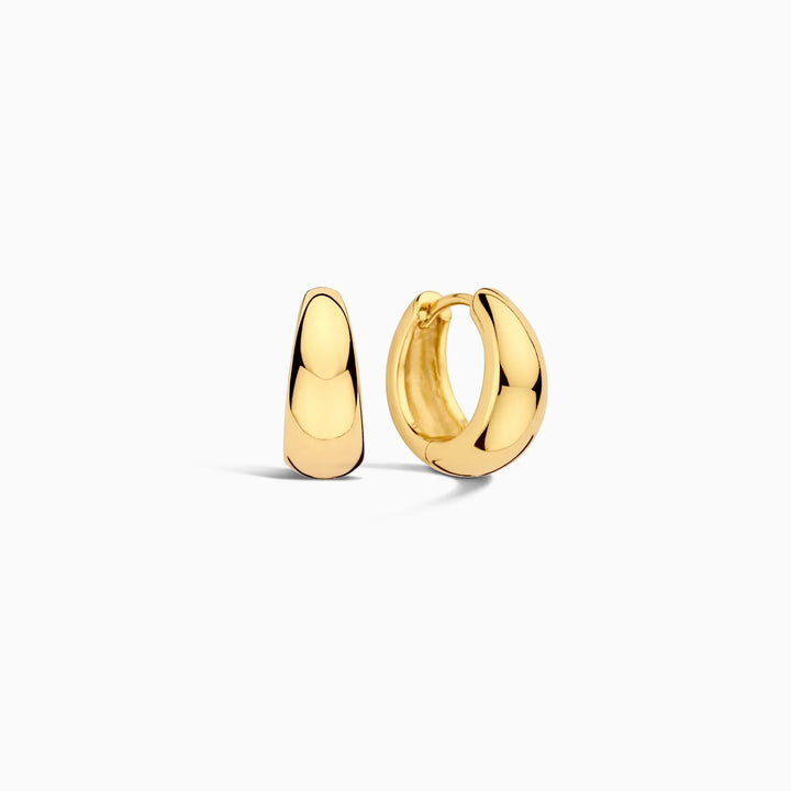 Hoops of Rue