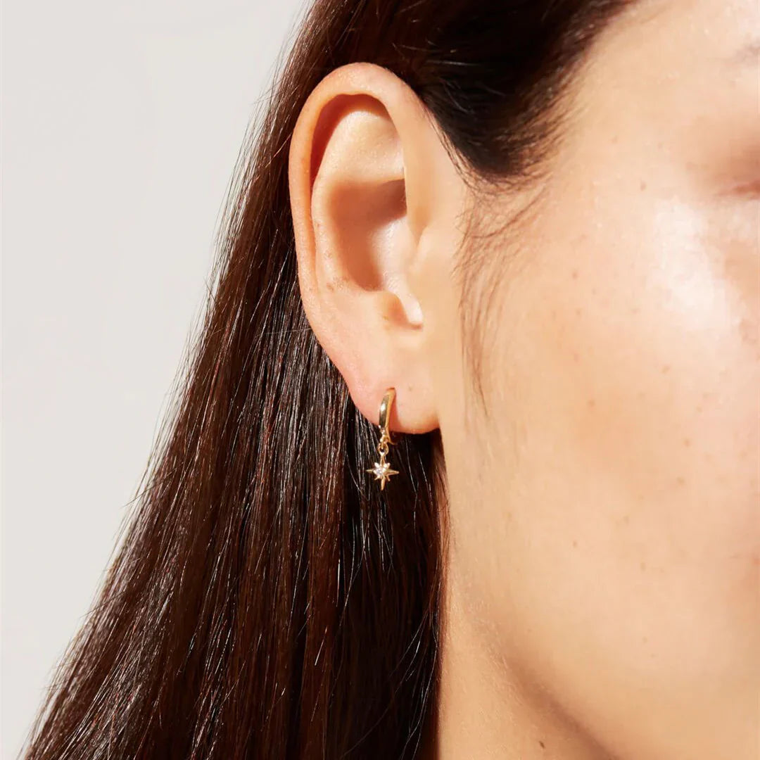 Earrings of Vudu